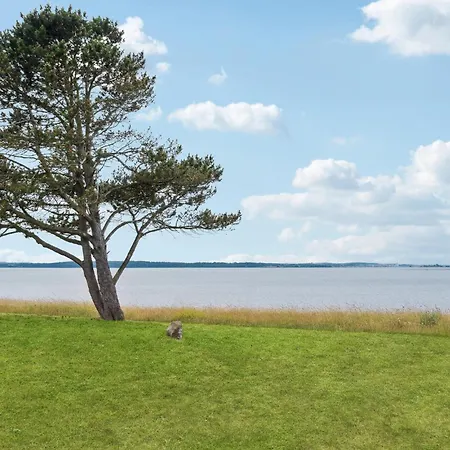 Tatil Evi Skibby 41 *